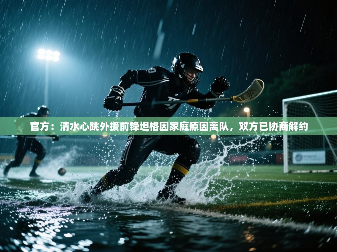 官方:清水心跳外援前锋坦格因家庭原因离队,双方已协商解约 第1张
