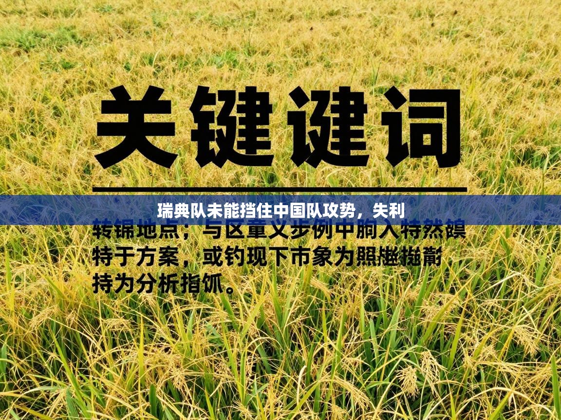 瑞典队未能挡住中国队攻势，失利  第1张