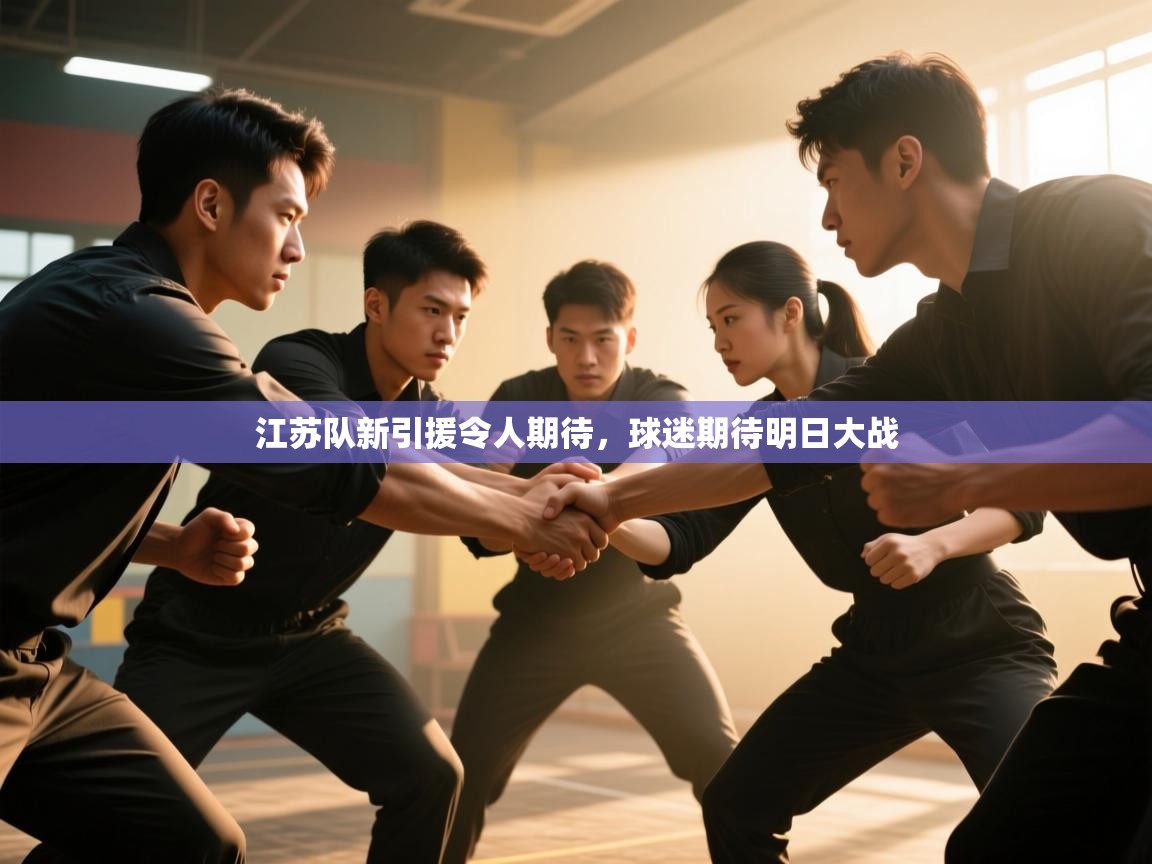 江苏队新引援令人期待，球迷期待明日大战  第1张