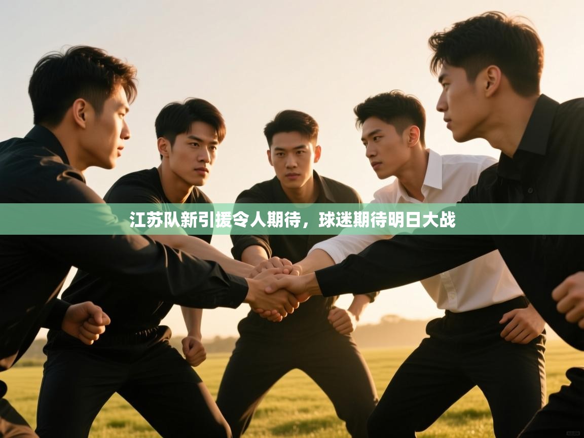 江苏队新引援令人期待，球迷期待明日大战  第2张