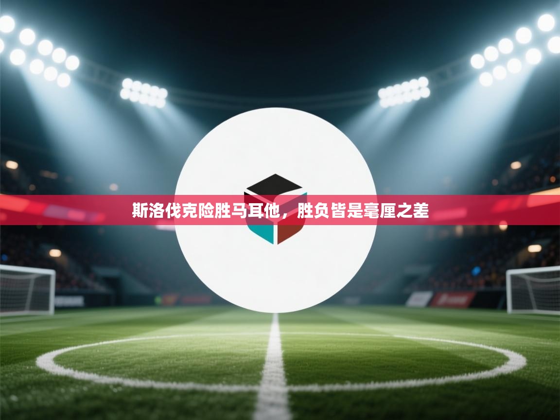 斯洛伐克险胜马耳他，胜负皆是毫厘之差  第2张