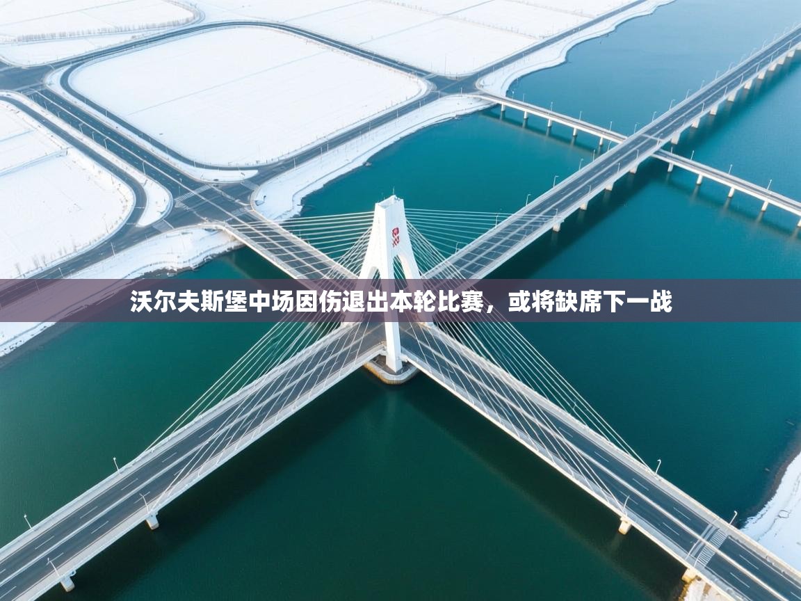 沃尔夫斯堡中场因伤退出本轮比赛，或将缺席下一战  第2张