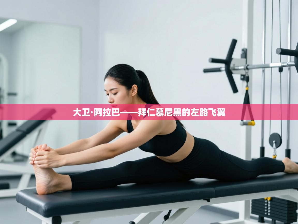 大卫·阿拉巴——拜仁慕尼黑的左路飞翼 第2张